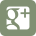 Google+